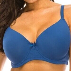 Jennifer Intimates Full Coverage Blue Underwire 42D Bra NWT